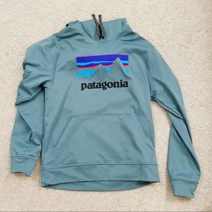 patagonia blue sweatshirt